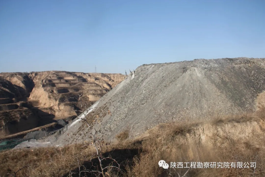 61a9cba33c45f.jpg 640.webp.jpg