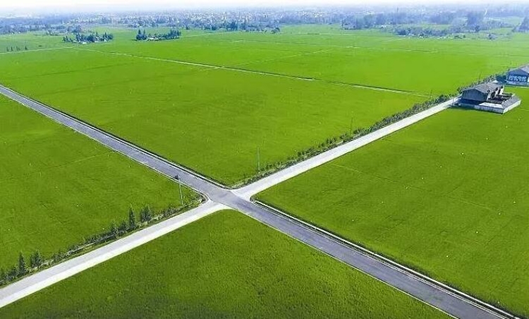 65b22f0b4a977.jpg 圖片1_副本.jpg